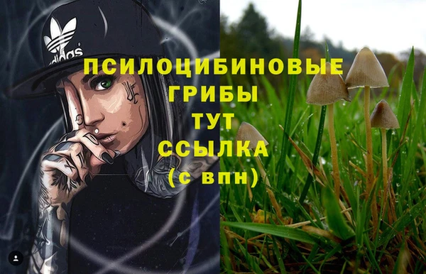 прущие крисы Надым