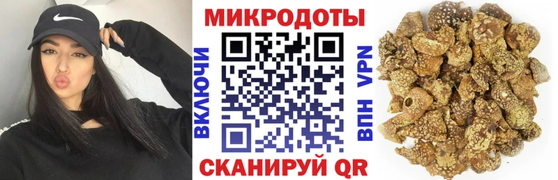 где купить наркоту Сольцы Псилоцибиновые грибы Cubensis